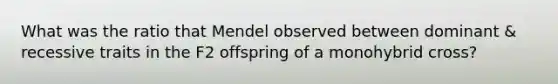 What was the ratio that Mendel observed between dominant & recessive traits in the F2 offspring of a monohybrid cross?