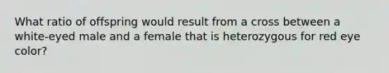 What ratio of offspring would result from a cross between a white-eyed male and a female that is heterozygous for red eye color?