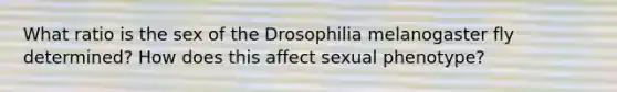 What ratio is the sex of the Drosophilia melanogaster fly determined? How does this affect sexual phenotype?