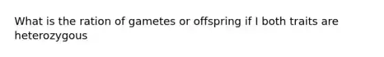 What is the ration of gametes or offspring if I both traits are heterozygous