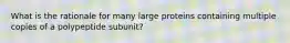 What is the rationale for many large proteins containing multiple copies of a polypeptide subunit?