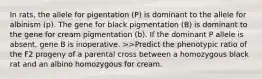 In rats, the allele for pigentation (P) is dominant to the allele for albinism (p). The gene for black pigmentation (B) is dominant to the gene for cream pigmentation (b). If the dominant P allele is absent, gene B is inoperative. >>Predict the phenotypic ratio of the F2 progeny of a parental cross between a homozygous black rat and an albino homozygous for cream.