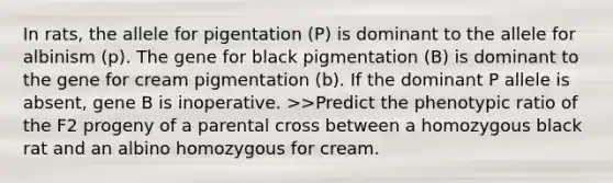 In rats, the allele for pigentation (P) is dominant to the allele for albinism (p). The gene for black pigmentation (B) is dominant to the gene for cream pigmentation (b). If the dominant P allele is absent, gene B is inoperative. >>Predict the phenotypic ratio of the F2 progeny of a parental cross between a homozygous black rat and an albino homozygous for cream.