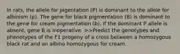 In rats, the allele for pigentation (P) is dominant to the allele for albinism (p). The gene for black pigmentation (B) is dominant to the gene for cream pigmentation (b). If the dominant P allele is absent, gene B is inoperative. >>Predict the genotypes and phenotypes of the F1 progeny of a cross between a homozygous black rat and an albino homozygous for cream.