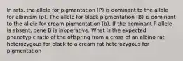 In rats, the allele for pigmentation (P) is dominant to the allele for albinism (p). The allele for black pigmentation (B) is dominant to the allele for cream pigmentation (b). If the dominant P allele is absent, gene B is inoperative. What is the expected phenotypic ratio of the offspring from a cross of an albino rat heterozygous for black to a cream rat heterozygous for pigmentation