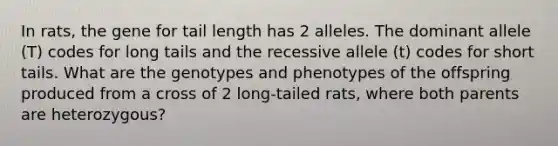 In rats, the gene for tail length has 2 alleles. The dominant allele (T) codes for long tails and the recessive allele (t) codes for short tails. What are the genotypes and phenotypes of the offspring produced from a cross of 2 long-tailed rats, where both parents are heterozygous?