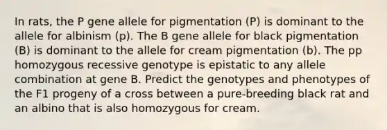 In rats, the P gene allele for pigmentation (P) is dominant to the allele for albinism (p). The B gene allele for black pigmentation (B) is dominant to the allele for cream pigmentation (b). The pp homozygous recessive genotype is epistatic to any allele combination at gene B. Predict the genotypes and phenotypes of the F1 progeny of a cross between a pure-breeding black rat and an albino that is also homozygous for cream.