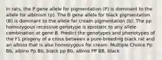 In rats, the P gene allele for pigmentation (P) is dominant to the allele for albinism (p). The B gene allele for black pigmentation (B) is dominant to the allele for cream pigmentation (b). The pp homozygous recessive genotype is epistatic to any allele combination at gene B. Predict the genotypes and phenotypes of the F1 progeny of a cross between a pure-breeding black rat and an albino that is also homozygous for cream. Multiple Choice Pp Bb, albino Pp Bb, black pp Bb, albino PP BB, black