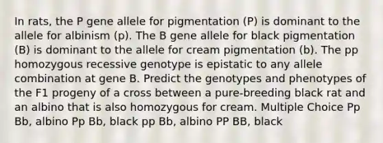 In rats, the P gene allele for pigmentation (P) is dominant to the allele for albinism (p). The B gene allele for black pigmentation (B) is dominant to the allele for cream pigmentation (b). The pp homozygous recessive genotype is epistatic to any allele combination at gene B. Predict the genotypes and phenotypes of the F1 progeny of a cross between a pure-breeding black rat and an albino that is also homozygous for cream. Multiple Choice Pp Bb, albino Pp Bb, black pp Bb, albino PP BB, black