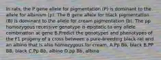 In rats, the P gene allele for pigmentation (P) is dominant to the allele for albinism (p). The B gene allele for black pigmentation (B) is dominant to the allele for cream pigmentation (b). The pp homozygous recessive genotype is epistatic to any allele combination at gene B.Predict the genotypes and phenotypes of the F1 progeny of a cross between a pure-breeding black rat and an albino that is also homozygous for cream. A.Pp Bb, black B.PP BB, black C.Pp Bb, albino D.pp Bb, albino