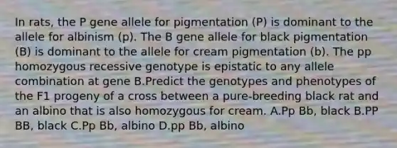 In rats, the P gene allele for pigmentation (P) is dominant to the allele for albinism (p). The B gene allele for black pigmentation (B) is dominant to the allele for cream pigmentation (b). The pp homozygous recessive genotype is epistatic to any allele combination at gene B.Predict the genotypes and phenotypes of the F1 progeny of a cross between a pure-breeding black rat and an albino that is also homozygous for cream. A.Pp Bb, black B.PP BB, black C.Pp Bb, albino D.pp Bb, albino