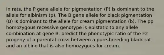 In rats, the P gene allele for pigmentation (P) is dominant to the allele for albinism (p). The B gene allele for black pigmentation (B) is dominant to the allele for cream pigmentation (b). The pp homozygous recessive genotype is epistatic to any allele combination at gene B. predict the phenotypic ratio of the F2 progeny of a parental cross between a pure-breeding black rat and an albino that is also homozygous for cream.