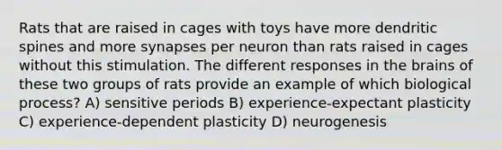 Rats that are raised in cages with toys have more dendritic spines and more synapses per neuron than rats raised in cages without this stimulation. The different responses in the brains of these two groups of rats provide an example of which biological process? A) sensitive periods B) experience-expectant plasticity C) experience-dependent plasticity D) neurogenesis