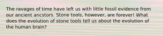 The ravages of time have left us with little fossil evidence from our ancient ancstors. Stone tools, however, are forever! What does the evolution of stone tools tell us about the evolution of the human brain?