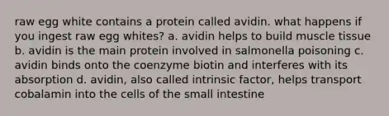 raw egg white contains a protein called avidin. what happens if you ingest raw egg whites? a. avidin helps to build muscle tissue b. avidin is the main protein involved in salmonella poisoning c. avidin binds onto the coenzyme biotin and interferes with its absorption d. avidin, also called intrinsic factor, helps transport cobalamin into the cells of the small intestine