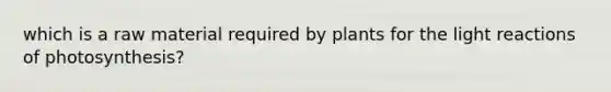 which is a raw material required by plants for the light reactions of photosynthesis?