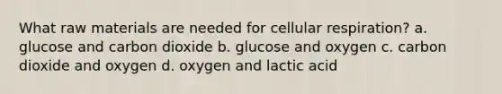 What raw materials are needed for <a href='https://www.questionai.com/knowledge/k1IqNYBAJw-cellular-respiration' class='anchor-knowledge'>cellular respiration</a>? a. glucose and carbon dioxide b. glucose and oxygen c. carbon dioxide and oxygen d. oxygen and lactic acid