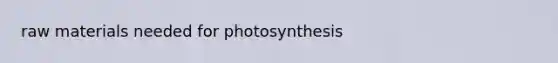 raw materials needed for photosynthesis