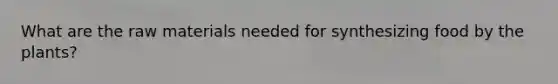 What are the raw materials needed for synthesizing food by the plants?