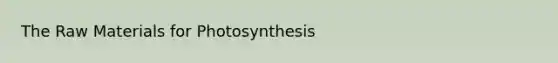 The Raw Materials for Photosynthesis