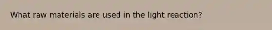 What raw materials are used in the light reaction?