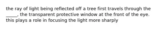 the ray of light being reflected off a tree first travels through the _____, the transparent protective window at the front of the eye. this plays a role in focusing the light more sharply