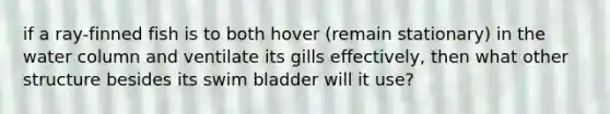 if a ray-finned fish is to both hover (remain stationary) in the water column and ventilate its gills effectively, then what other structure besides its swim bladder will it use?