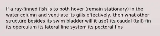 If a ray-finned fish is to both hover (remain stationary) in the water column and ventilate its gills effectively, then what other structure besides its swim bladder will it use? its caudal (tail) fin its operculum its lateral line system its pectoral fins