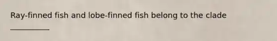 Ray-finned fish and lobe-finned fish belong to the clade __________