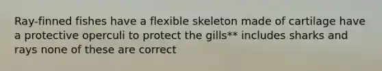 Ray-finned fishes have a flexible skeleton made of cartilage have a protective operculi to protect the gills** includes sharks and rays none of these are correct