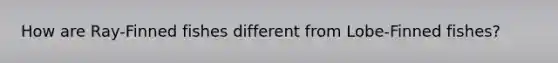 How are Ray-Finned fishes different from Lobe-Finned fishes?