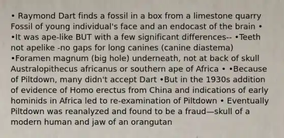 • Raymond Dart finds a fossil in a box from a limestone quarry Fossil of young individual's face and an endocast of <a href='https://www.questionai.com/knowledge/kLMtJeqKp6-the-brain' class='anchor-knowledge'>the brain</a> • •It was ape-like BUT with a few significant differences-- •Teeth not apelike -no gaps for long canines (canine diastema) •Foramen magnum (big hole) underneath, not at back of skull Australopithecus africanus or southern ape of Africa • •Because of Piltdown, many didn't accept Dart •But in the 1930s addition of evidence of <a href='https://www.questionai.com/knowledge/kI1ONx7LAC-homo-erectus' class='anchor-knowledge'>homo erectus</a> from China and indications of early hominids in Africa led to re-examination of Piltdown • Eventually Piltdown was reanalyzed and found to be a fraud—skull of a modern human and jaw of an orangutan