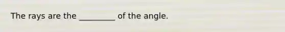 The rays are the _________ of the angle.