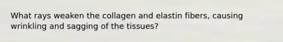 What rays weaken the collagen and elastin fibers, causing wrinkling and sagging of the tissues?