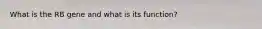 What is the RB gene and what is its function?