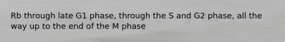 Rb through late G1 phase, through the S and G2 phase, all the way up to the end of the M phase