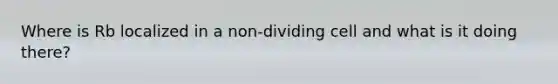 Where is Rb localized in a non-dividing cell and what is it doing there?