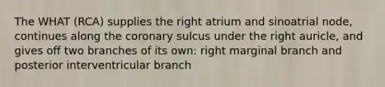 The WHAT (RCA) supplies the right atrium and sinoatrial node, continues along <a href='https://www.questionai.com/knowledge/kUSHhCSdkt-the-corona' class='anchor-knowledge'>the corona</a>ry sulcus under the right auricle, and gives off two branches of its own: right marginal branch and posterior interventricular branch