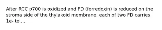 After RCC p700 is oxidized and FD (ferredoxin) is reduced on the stroma side of the thylakoid membrane, each of two FD carries 1e- to....