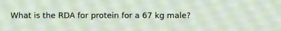 What is the RDA for protein for a 67 kg male?