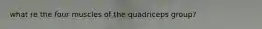 what re the four muscles of the quadriceps group?