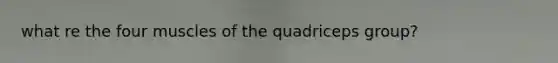 what re the four muscles of the quadriceps group?