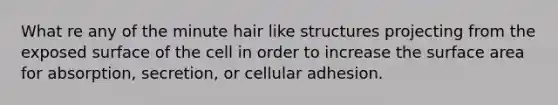 What re any of the minute hair like structures projecting from the exposed surface of the cell in order to increase the surface area for absorption, secretion, or cellular adhesion.