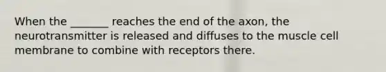 When the _______ reaches the end of the axon, the neurotransmitter is released and diffuses to the muscle cell membrane to combine with receptors there.