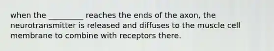 when the _________ reaches the ends of the axon, the neurotransmitter is released and diffuses to the muscle cell membrane to combine with receptors there.