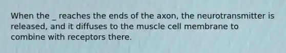 When the _ reaches the ends of the axon, the neurotransmitter is released, and it diffuses to the muscle cell membrane to combine with receptors there.