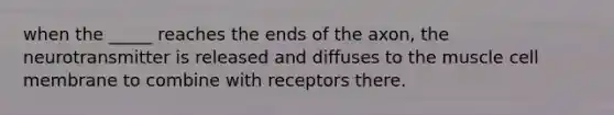 when the _____ reaches the ends of the axon, the neurotransmitter is released and diffuses to the muscle cell membrane to combine with receptors there.