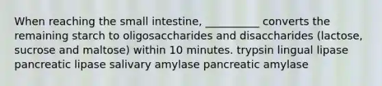 When reaching the small intestine, __________ converts the remaining starch to oligosaccharides and disaccharides (lactose, sucrose and maltose) within 10 minutes. trypsin lingual lipase pancreatic lipase salivary amylase pancreatic amylase