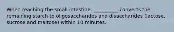 When reaching the small intestine, __________ converts the remaining starch to oligosaccharides and disaccharides (lactose, sucrose and maltose) within 10 minutes.