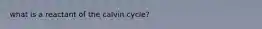 what is a reactant of the calvin cycle?